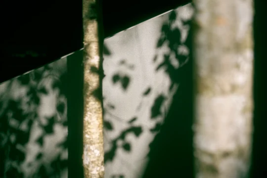 Luxe behandelkamer bij Paracelsus Recovery voor nicotineverslaving