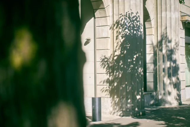 Holistische behandelbenadering bij Paracelsus Recovery