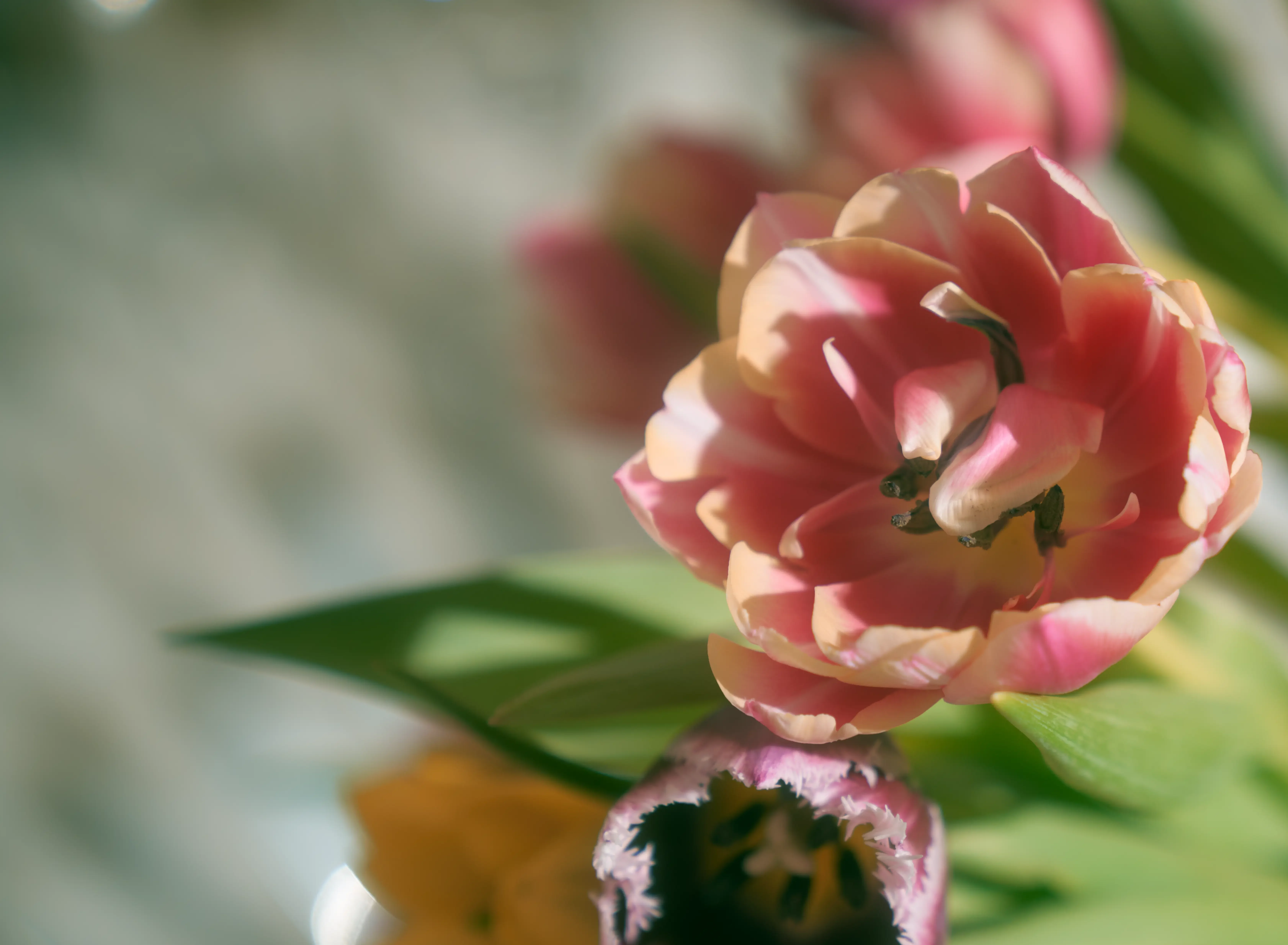 Premium wellness voorzieningen